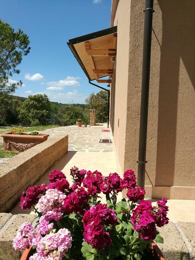 Sonnellino In Maremma Βίλα Massa Marittima Εξωτερικό φωτογραφία
