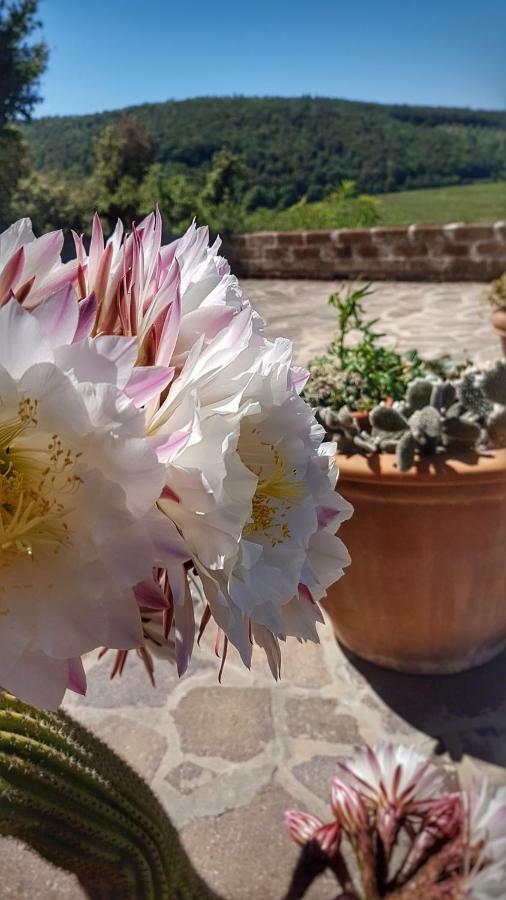 Sonnellino In Maremma Βίλα Massa Marittima Εξωτερικό φωτογραφία