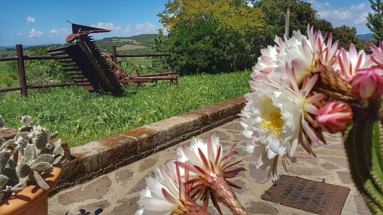 Sonnellino In Maremma Βίλα Massa Marittima Εξωτερικό φωτογραφία